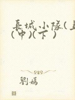 长城小队(上)(中)(下 )封面