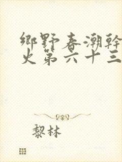 乡野春潮干柴烈火第六十三章封面