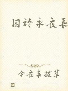 囚于永夜长佩