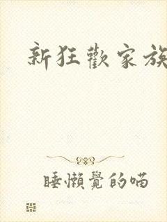 新狂欢家族小说