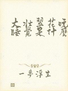 大壮翠花晚上不睡觉是什么电视剧