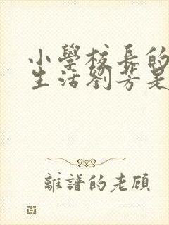 小学校长的幸福生活刘芳是谁封面