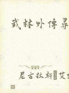 武林外传寻宝封面