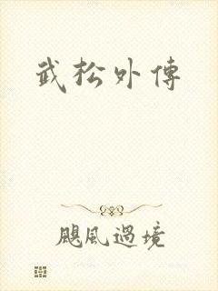 武松外传
