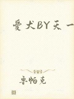 爱犬BY天一
