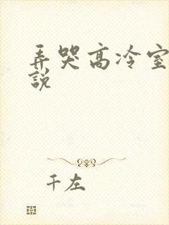 弄哭高冷室友小说