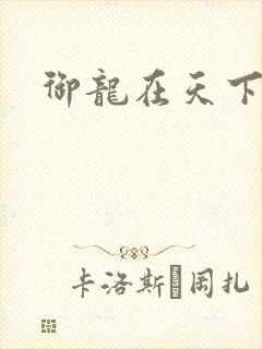 御龙在天下载
