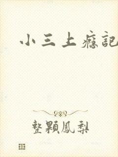 小三上瘾记封面