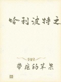 哈利波特之守护