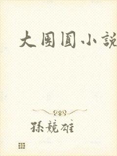 大团圆小说