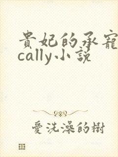 贵妃的承宠日常cally小说