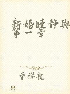 新婚晓静与翁公笫一章