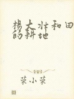 杨大壮和田桂花的耕地