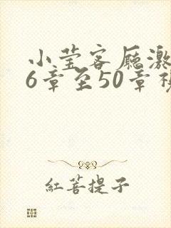 小莹客厅激情46章至50章视封面