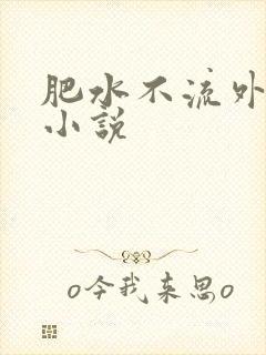 肥水不流外人田小说封面