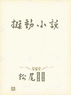 挺动小说封面