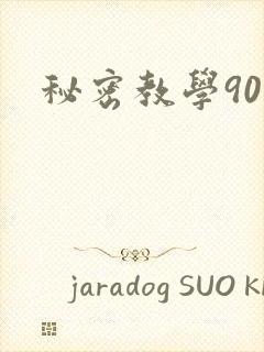 秘密教学90