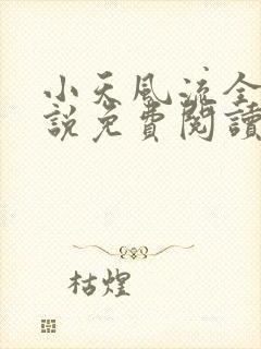 小天风流全集小说免费阅读