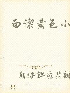 白洁黄色小说