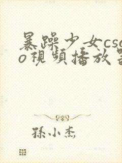 暴躁少女csgo视频播放器推荐