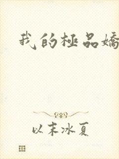 我的极品娇妻