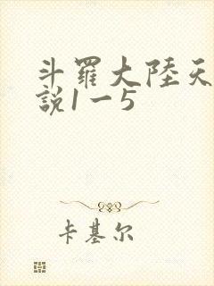 斗罗大陆天狂传说1一5