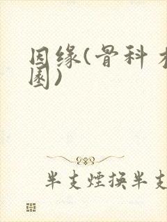 因缘(骨科 校园)