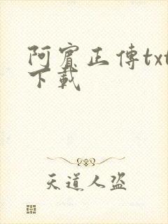 阿宾正传txt下载