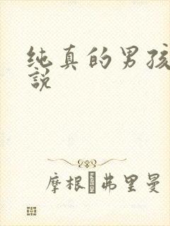 纯真的男孩子小说封面