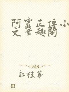 阿宾正传小说全文笔趣阁