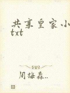 共享皇家小公主txt