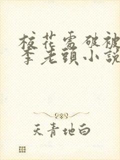 校花处破被灌满李老头小说