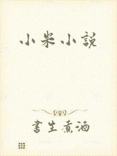 小米小说
