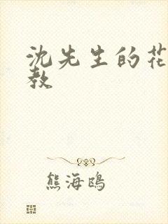 沈先生的花式管教