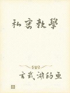 私密教学封面
