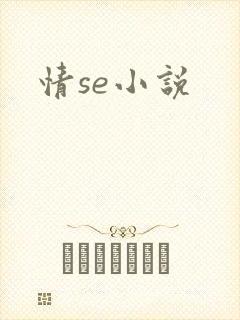 情se小说封面