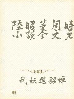 陆昭菱周时阅的小说全文免费阅读封面