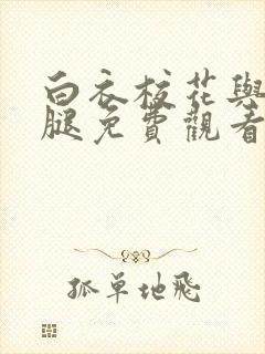 白衣校花与大长腿免费观看电视剧