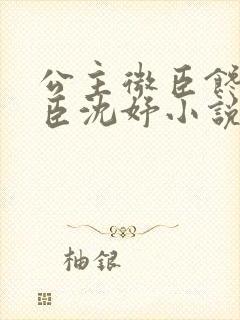 公主微臣馋了微臣沈妤小说