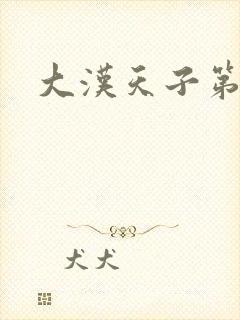 大汉天子第一部封面