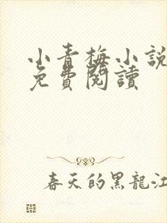 小青梅小说全文免费阅读
