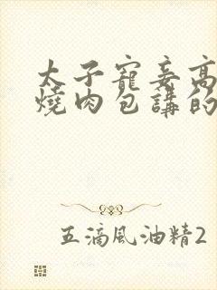 太子宠妾高肉红烧肉包讲的什么