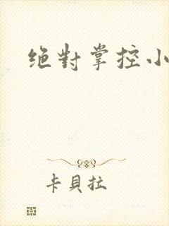 绝对掌控小说