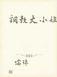 调教大小姐封面