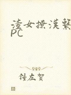 渣女撩汉系统NPC