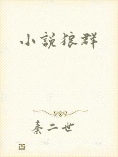 小说狼群