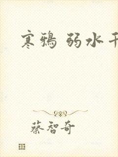 寒鸦 弱水千流