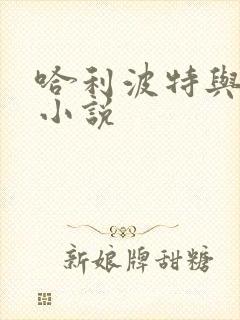 哈利波特与密室小说