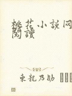 桃花小说网小说阅读