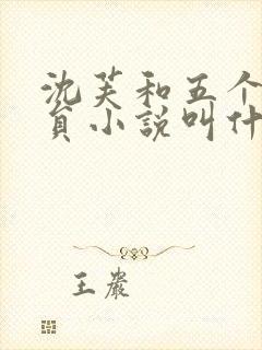 沈芙和五个消防员小说叫什么